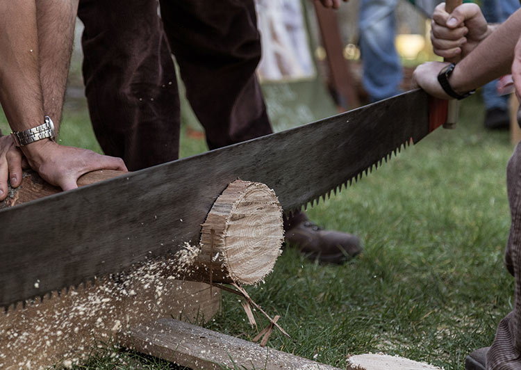 Lumberjack Competition Adult